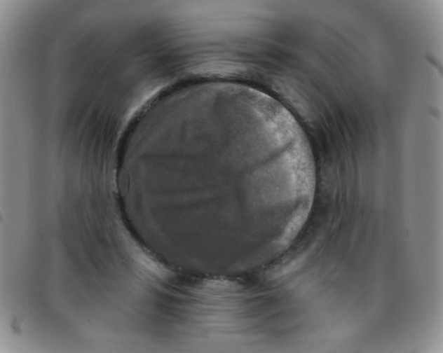 X0000097490399200803142002