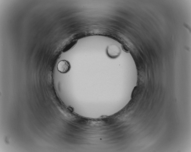 X0000097490401200803142002