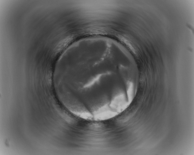 X0000097490402200803142001