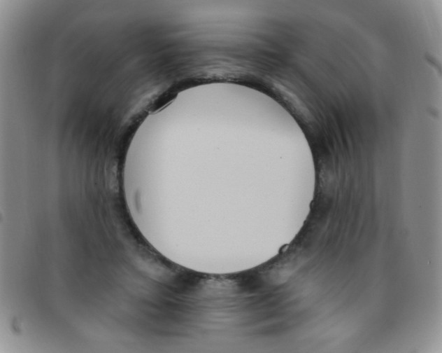 X0000097490403200803142001