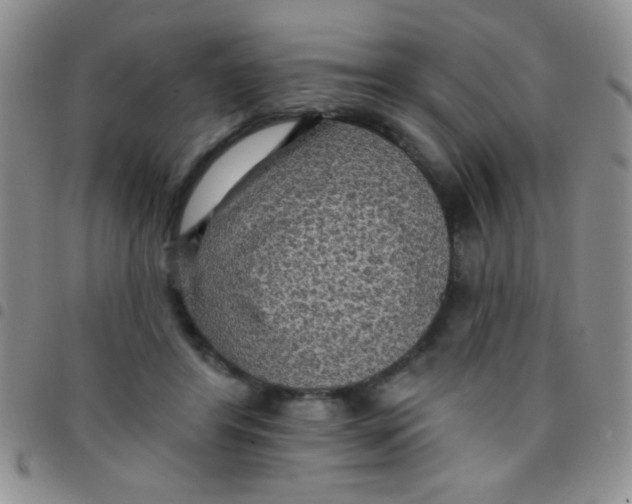 X0000097490404200803142001