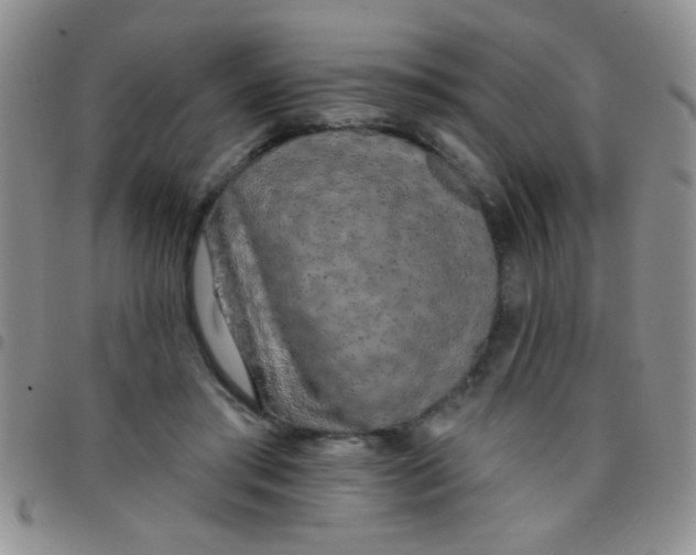 X0000097490405200803142001