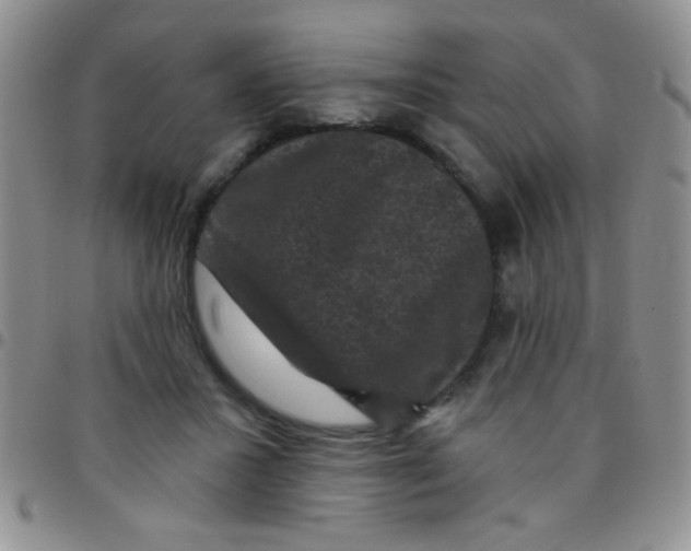 X0000097490407200803142001