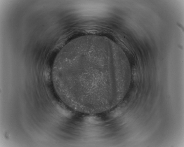 X0000097490408200803142001