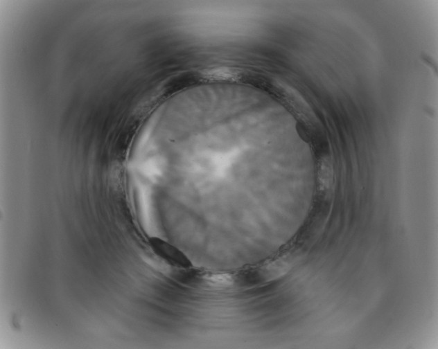 X0000097490409200803142001