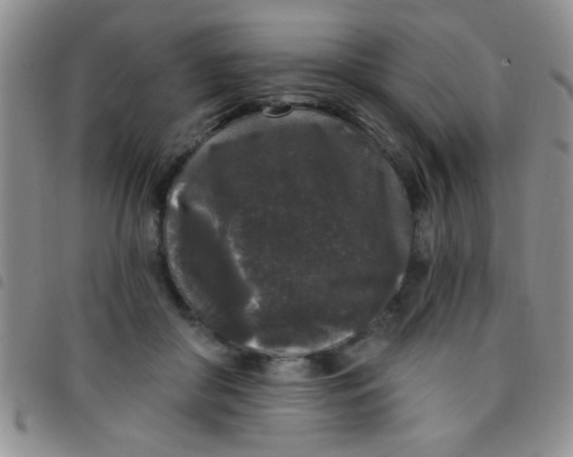 X0000097490410200803142001