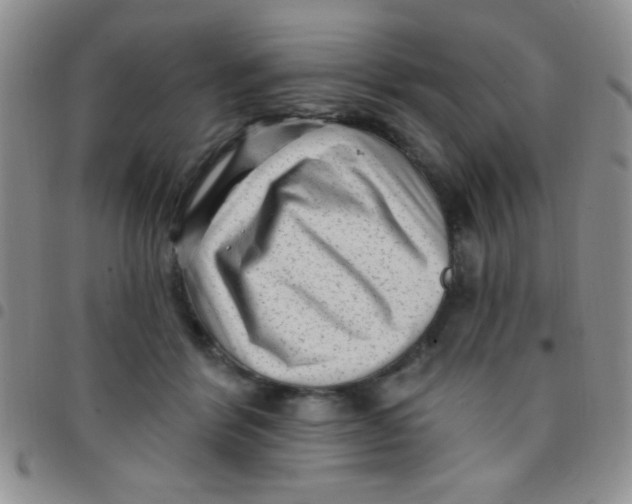 X0000097490412200803142001