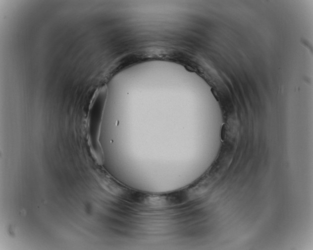 X0000097490413200803142001