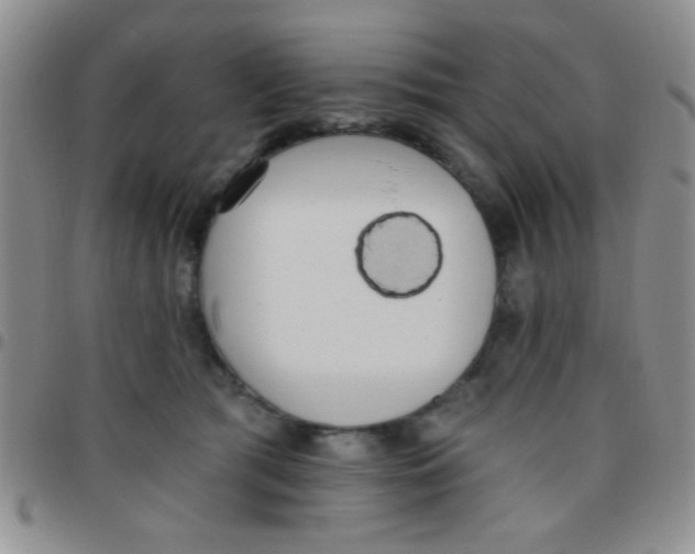 X0000097490417200803142001