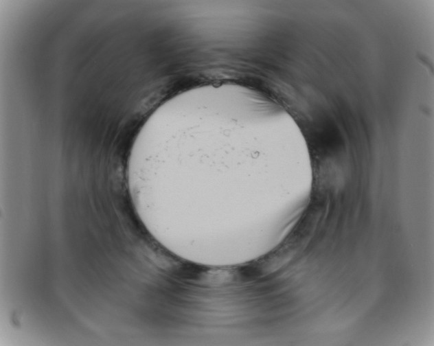 X0000097490418200803142001