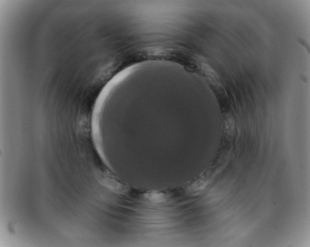 X0000097490419200803142001