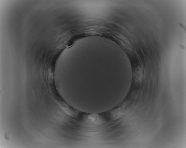 X0000097490420200803142001