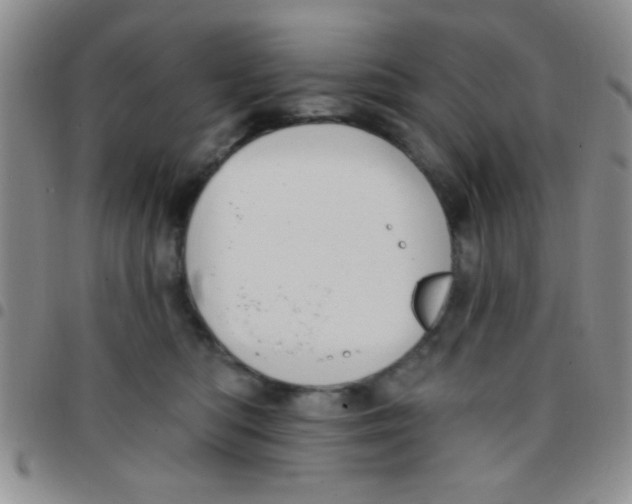 X0000097490422200803142001