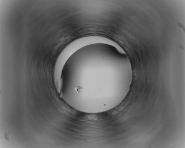 X0000097490423200803142001