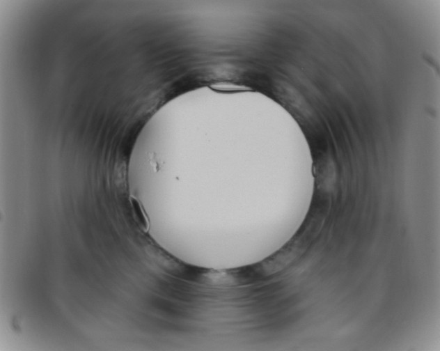 X0000097490425200803142001