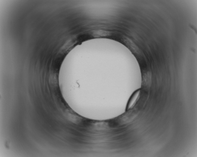 X0000097490426200803142001