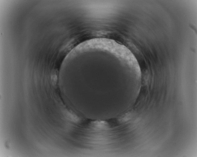 X0000097490427200803142001