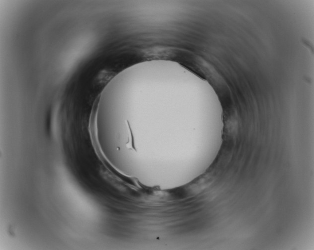 X0000097490429200803142001