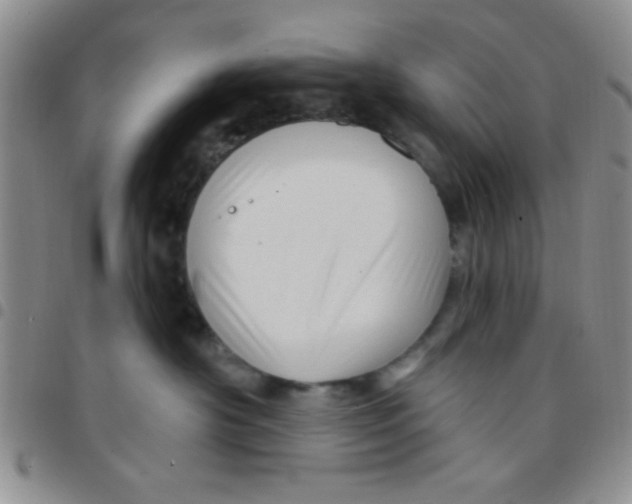 X0000097490430200803142001