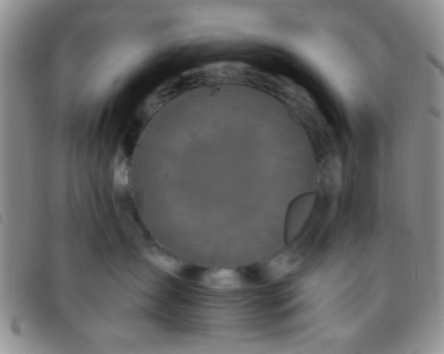 X0000097490431200803142001