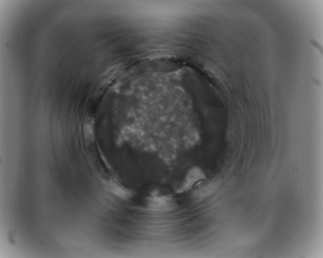 X0000097490432200803142001