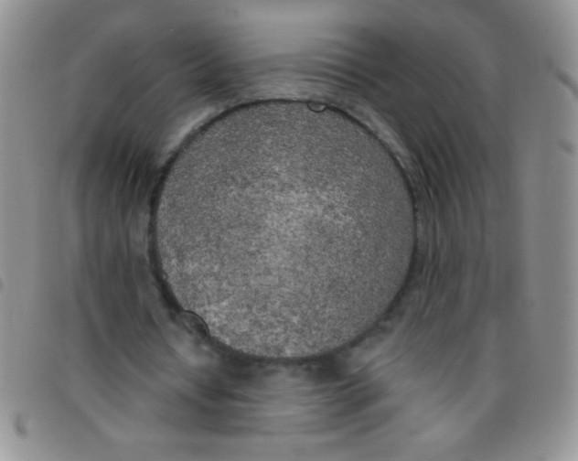 X0000097490434200803142000