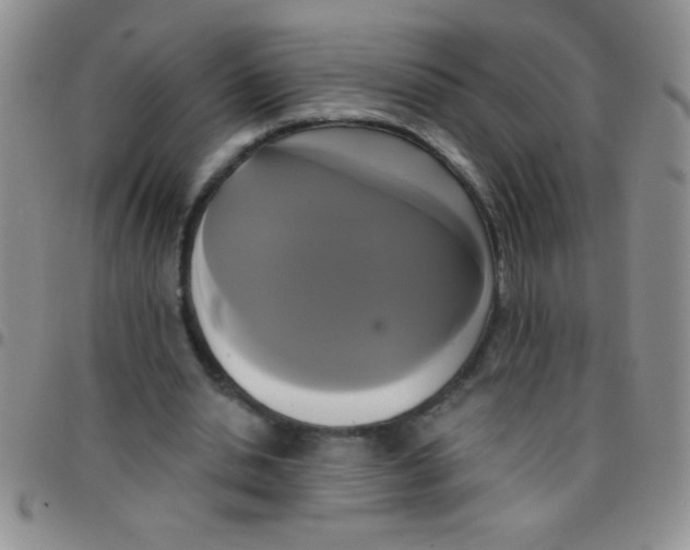 X0000097490438200803142000