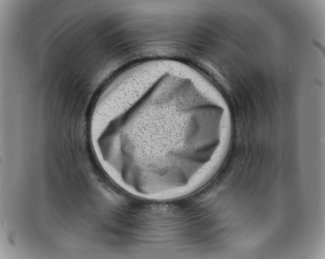 X0000097490439200803142000