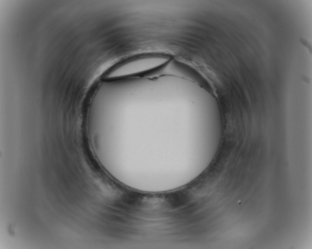 X0000097490440200803142000