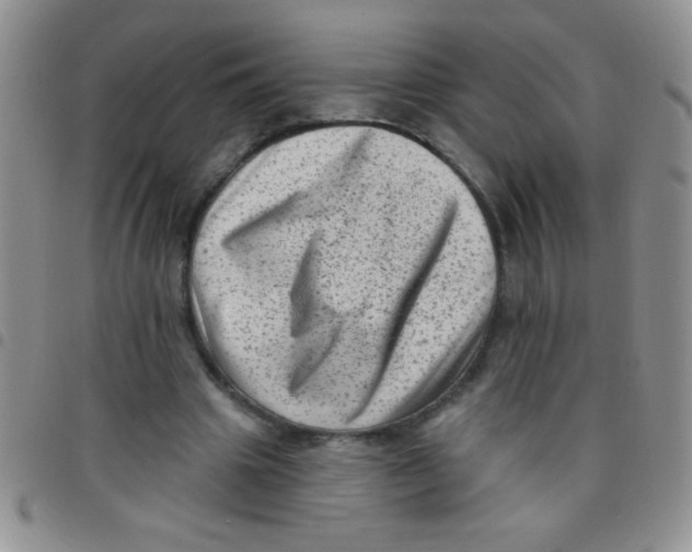 X0000097490441200803142000