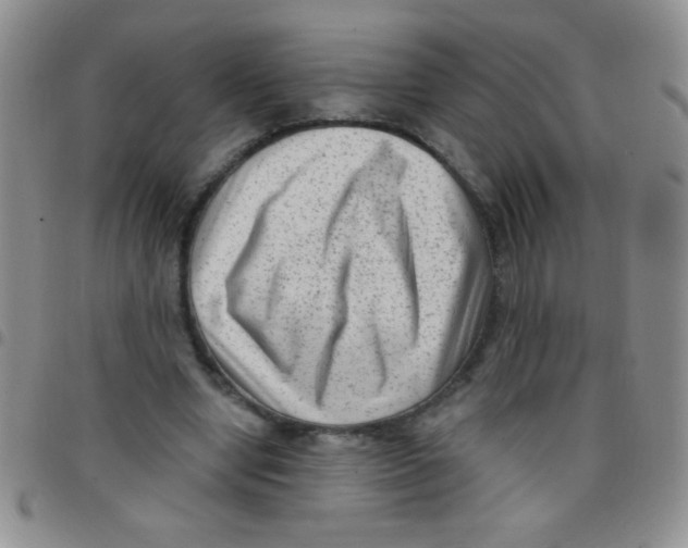 X0000097490442200803142000