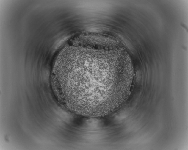 X0000097490444200803142000