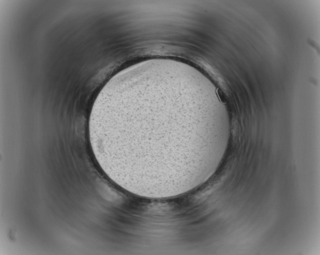 X0000097490445200803142000