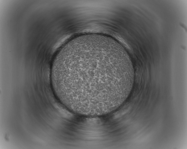 X0000097490446200803142000