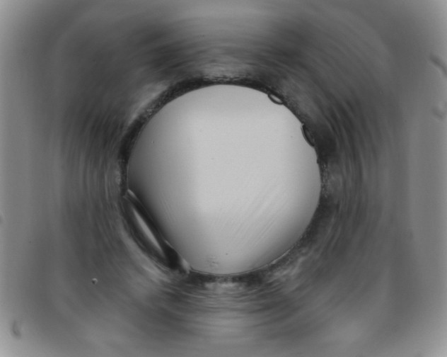 X0000097490448200803142001