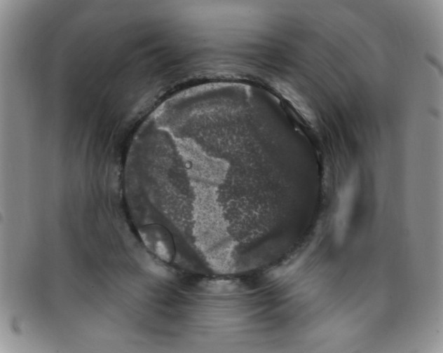 X0000097490449200803142001