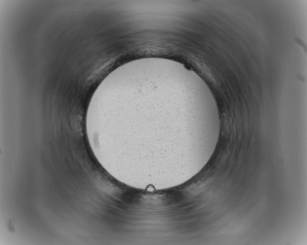 X0000097490450200803142001