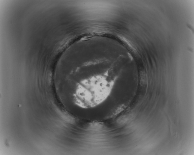 X0000097490451200803142001