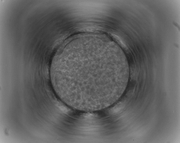 X0000097490453200803142001