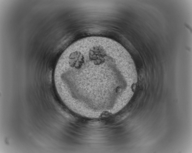 X0000097490454200803142001