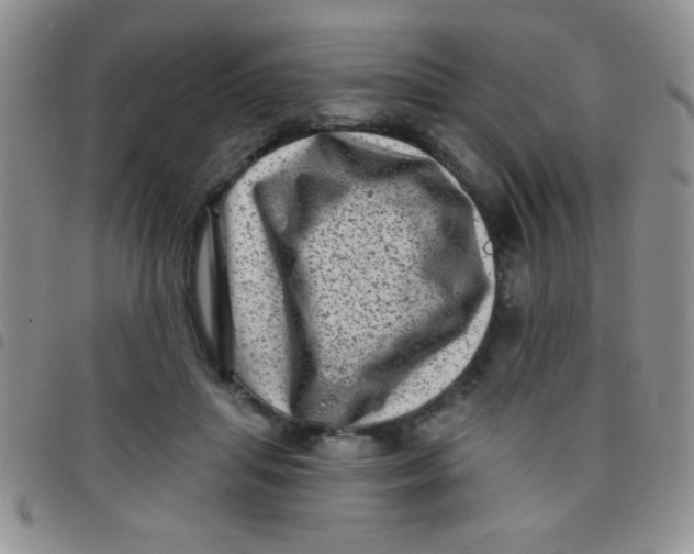 X0000097490455200803142001