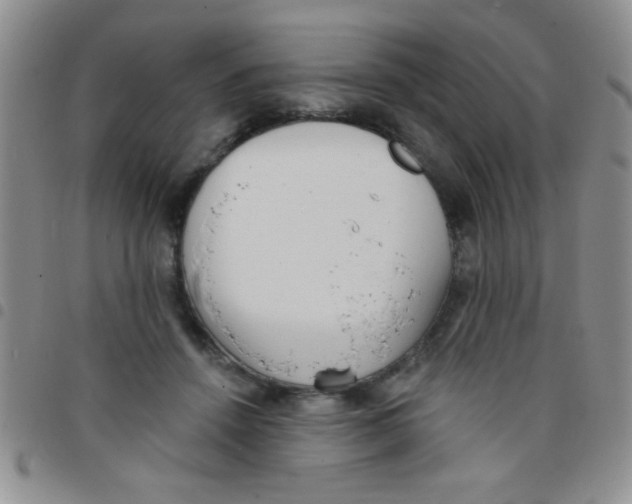 X0000097490456200803142001