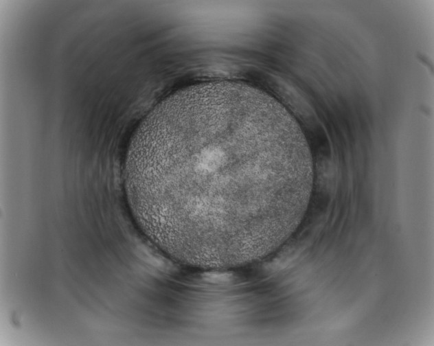 X0000097490457200803142001