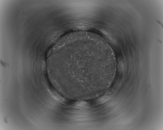 X0000097490459200803142001