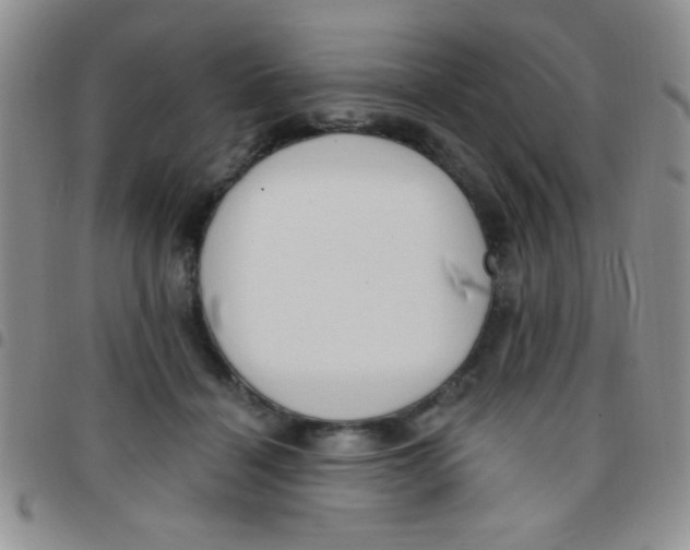 X0000097490460200803142001