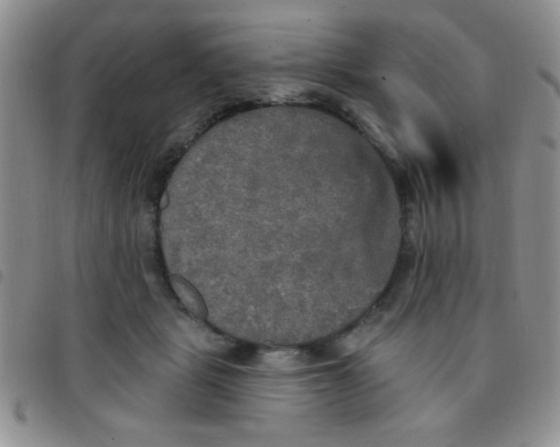 X0000097490461200803142001