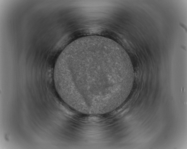 X0000097490462200803142001