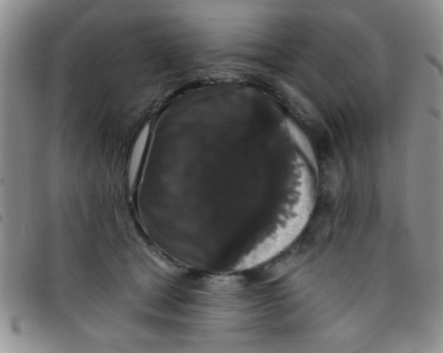 X0000097490465200803142001