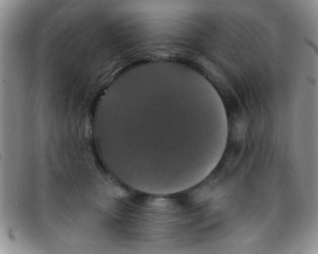 X0000097490467200803142001