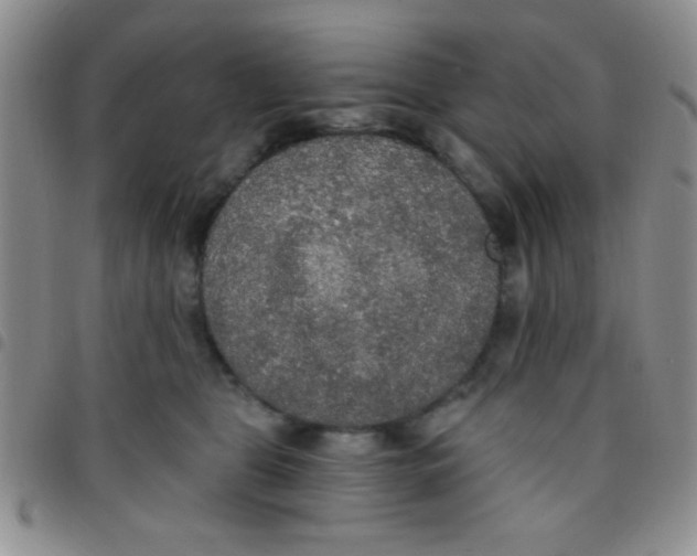 X0000097490469200803142001